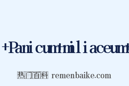 +Panicum+miliaceum+是什么意思的图片
